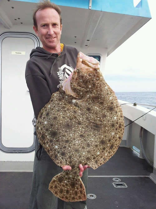 THE BIGGEST TURBOT THIS YEAR SO FAR! 