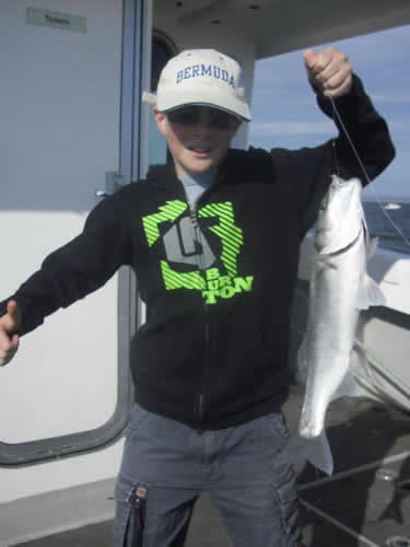 Out The Blue - Boatfishing Charters Guernsey