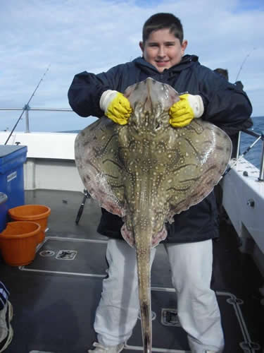 A budding angler 13yr old with biggest undulate ray caught on out the blue!